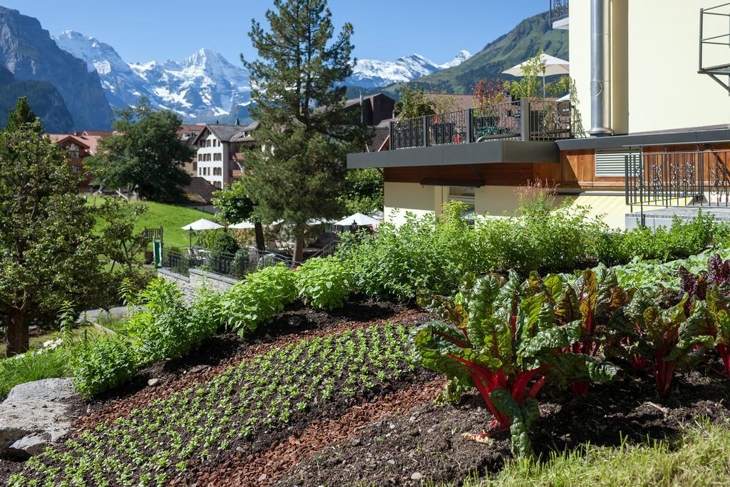 Hotel Schonegg Wengen Exterior photo